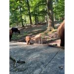 Wildpark_2c_11.jpg